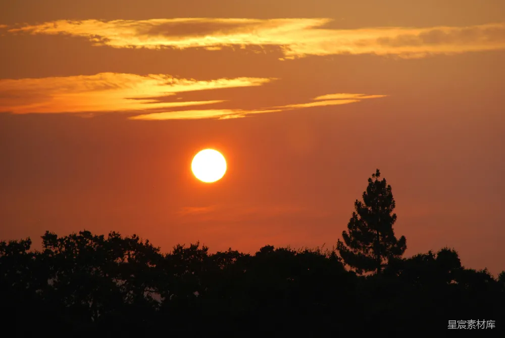 高清摄影  远处的树木上空，夕阳正在落下。