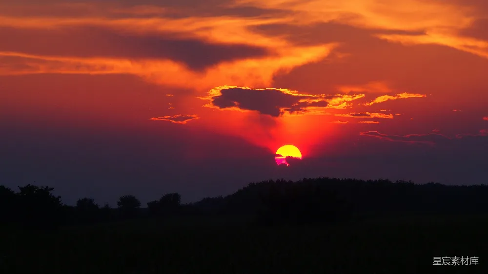 高清摄影  夕阳下鸟儿的剪影