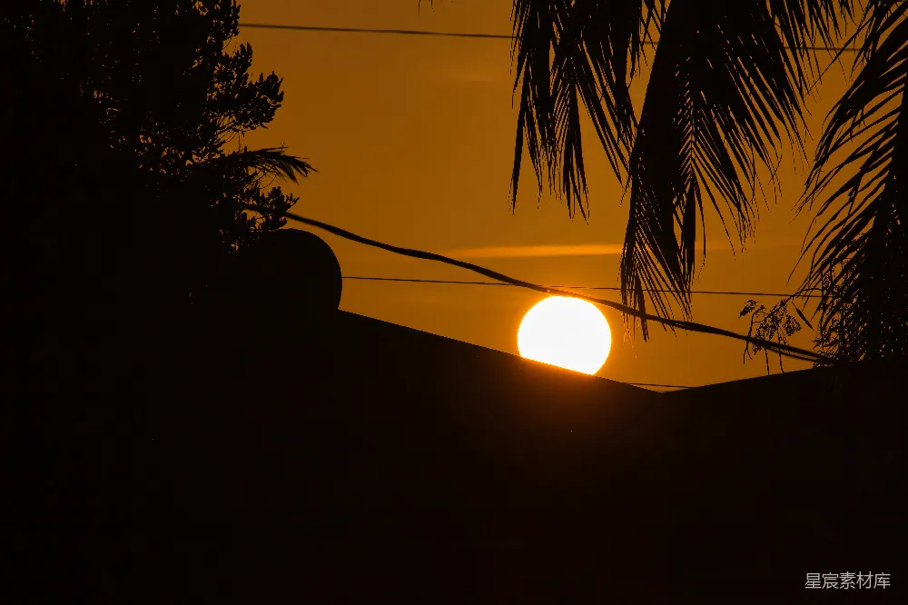 高清摄影  夕阳在剪影和棕榈叶之间落下。