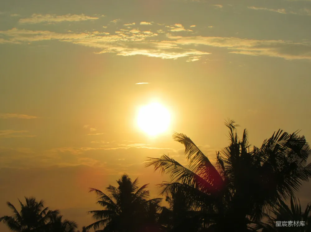 高清摄影  夕阳西下，映照在树梢之上。