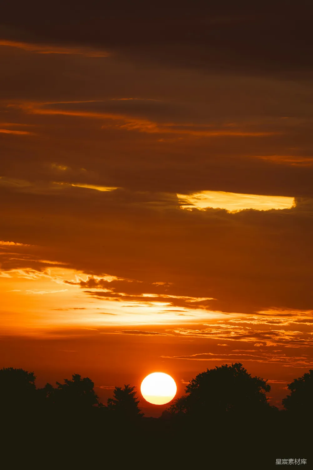 高清摄影  夕阳正在远方的树林上落下。