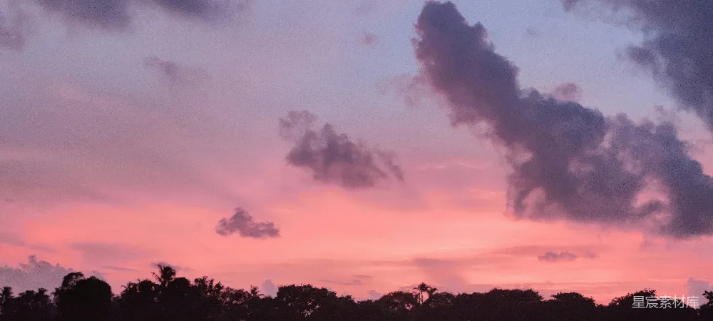 高清摄影  夕阳西下，云层中的树木剪影