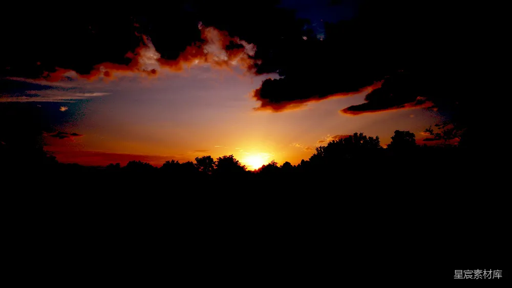 高清摄影  远处的树木上夕阳正在落下。