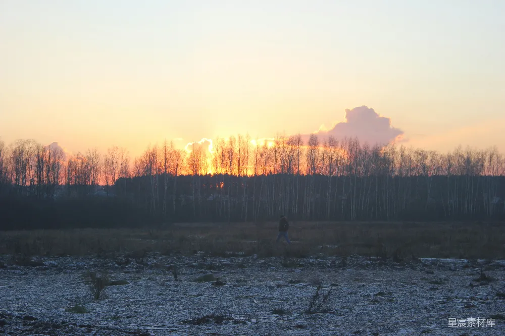 高清摄影  夕阳正照射在一片田野上，背景中树木林立。