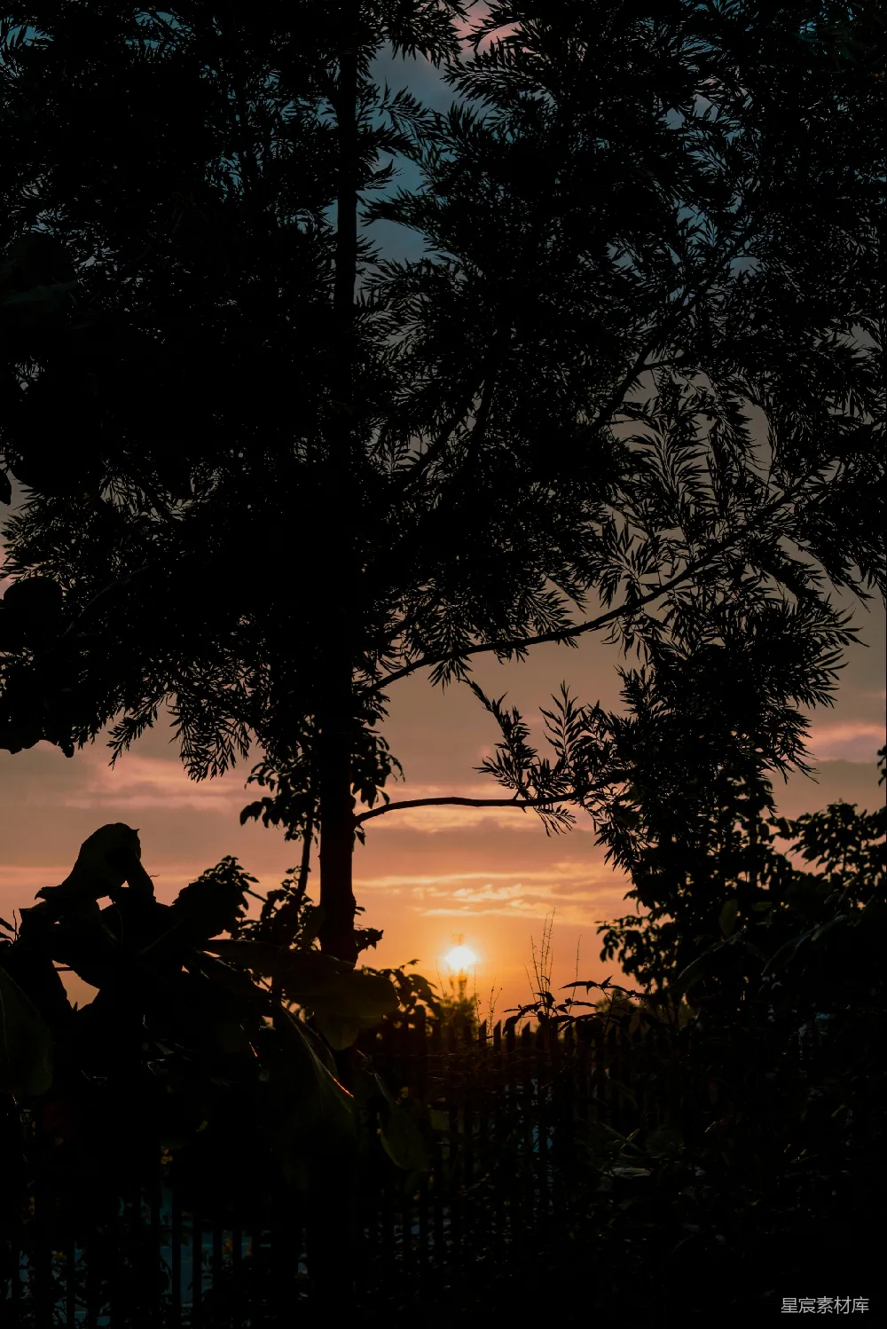 高清摄影  夕阳西下时，坐在地上的男人的剪影