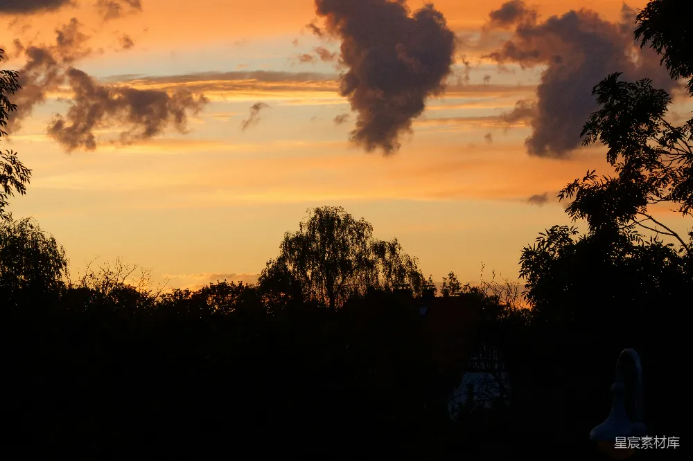 高清摄影  夕阳西下，天空中有云，前景中是树木。