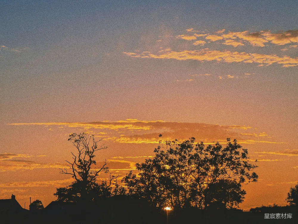 高清摄影  夕阳正在树木和建筑物之间落下。