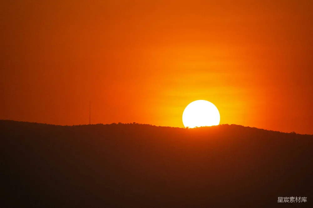 高清摄影  夕阳下树木的剪影