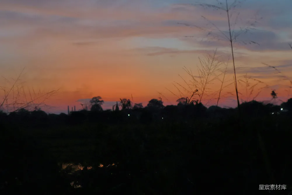 高清摄影 自然 夕阳洒在一片长草地上。