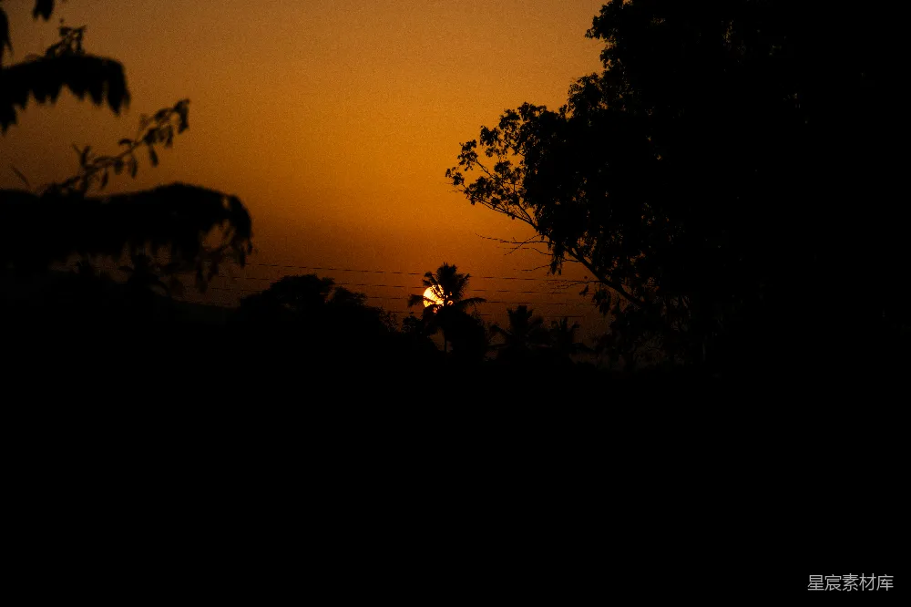 高清摄影 壁纸 夕阳透过树木，映照着暮色苍茫的天空。
