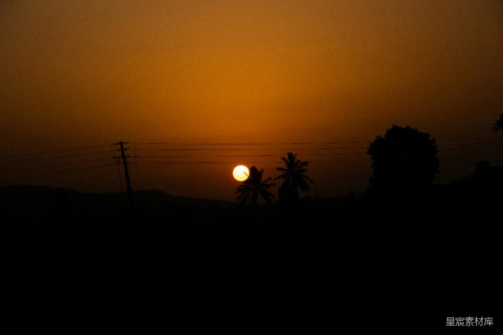 高清摄影 壁纸 夕阳映照在树木和土地的剪影上。