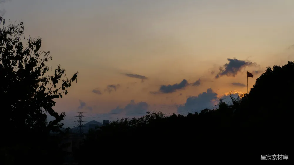 高清摄影 自然 夕阳映照树林