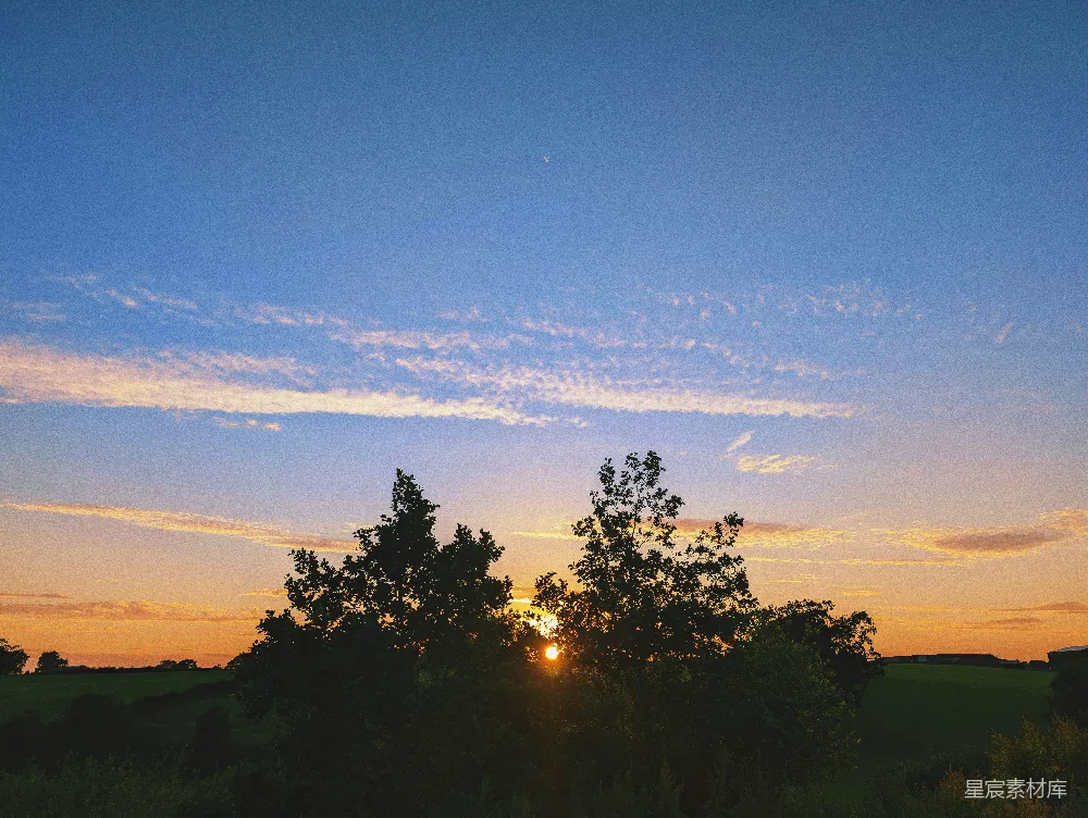 高清摄影  夕阳正落在这片树林和田野之间。