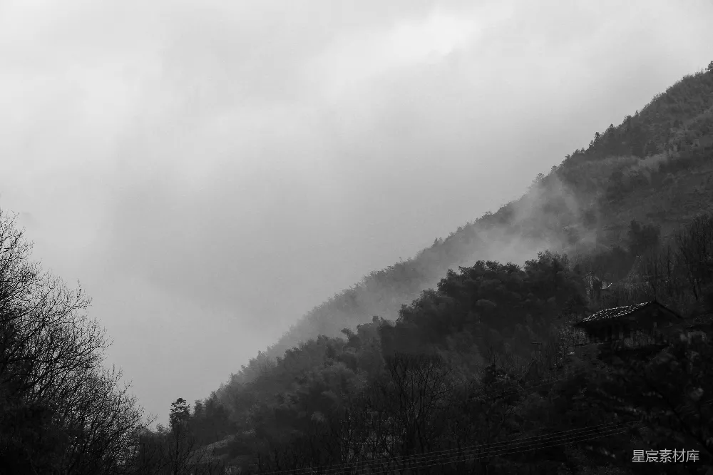 高清摄影  白天，白天下方的绿树