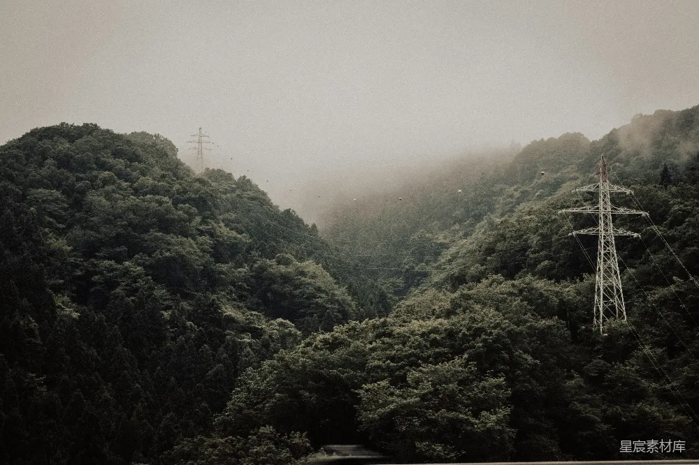 高清摄影  白变体帖子