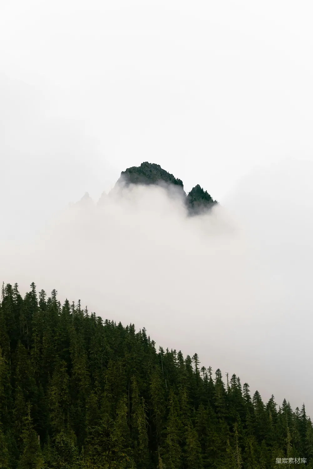 高清摄影  被雾气笼罩的山，山的一侧长着树木。