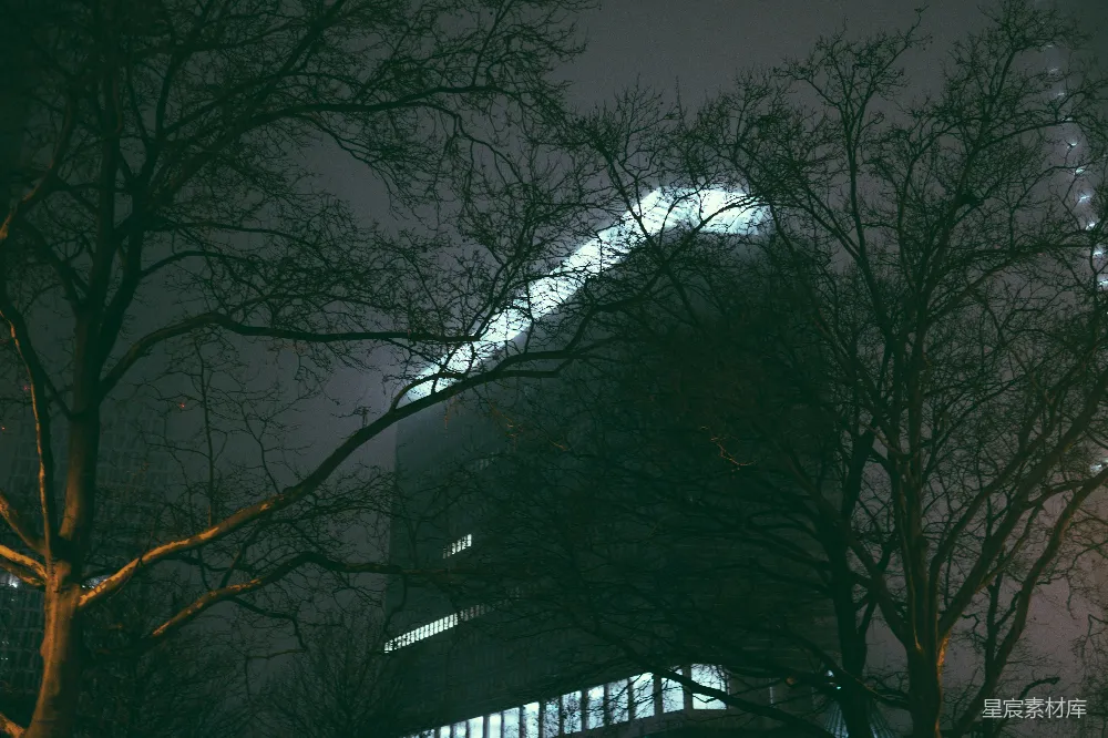 高清摄影  一座高耸的建筑物，夜晚被树木环绕着。