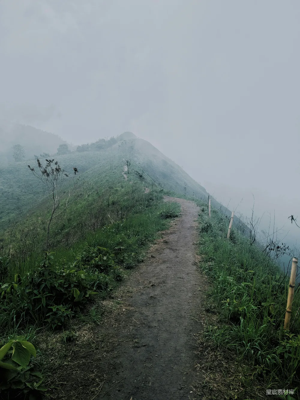 高清摄影  白天草地之间的路径