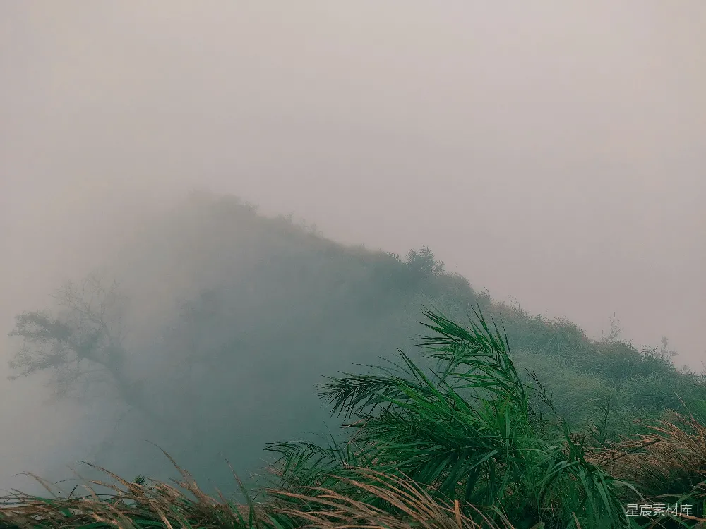 高清摄影  雾蒙蒙的草地