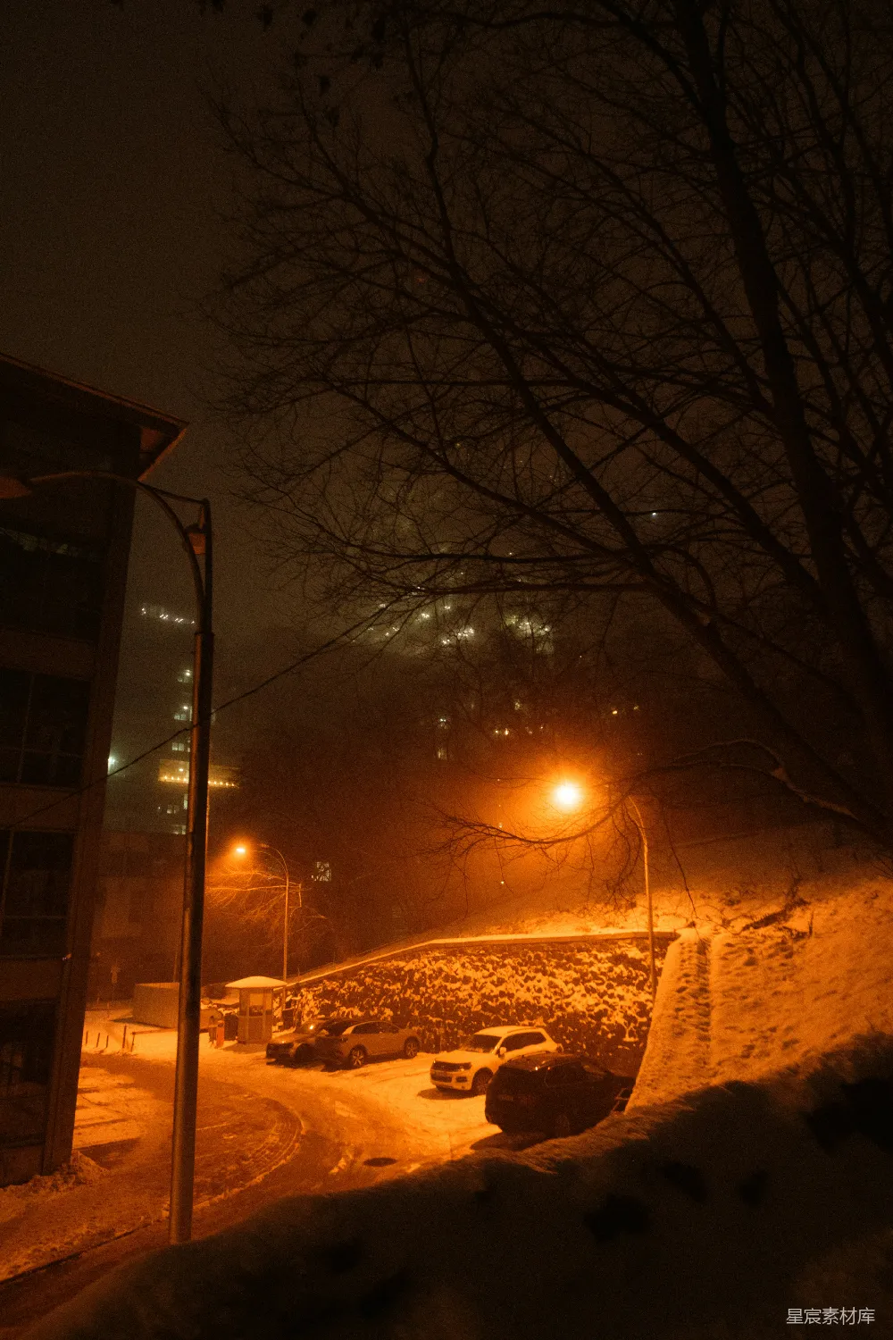 高清摄影 壁纸 夜晚雪地上的路灯
