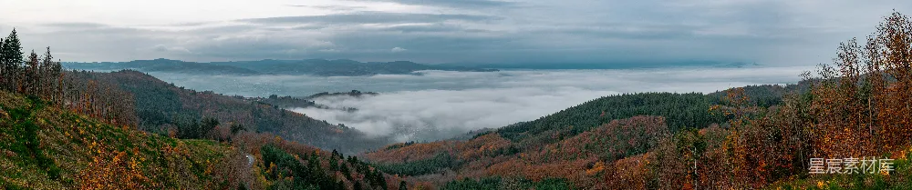 高清摄影  一片山谷，前景中有树木。