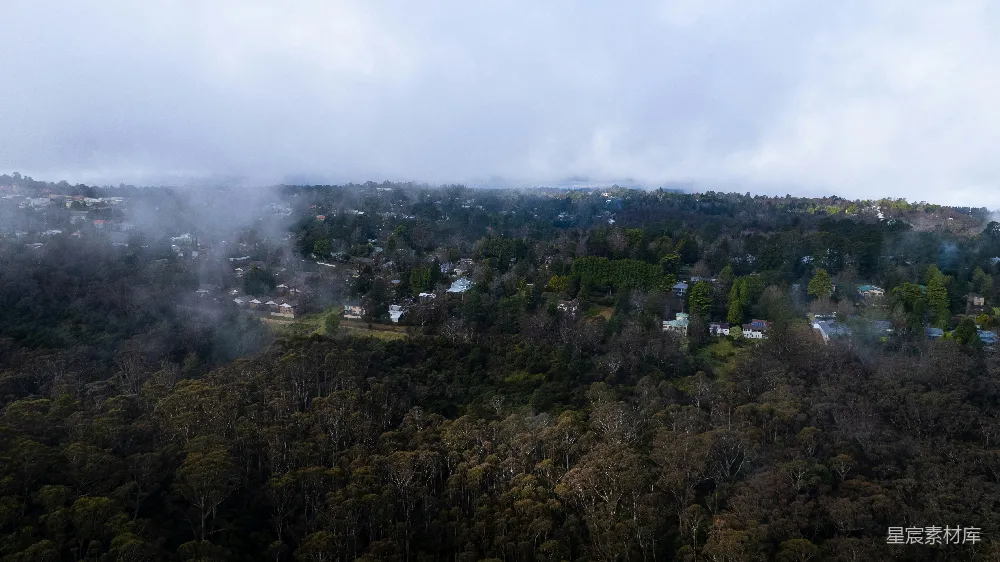 高清摄影  一个风景，有树和房屋。