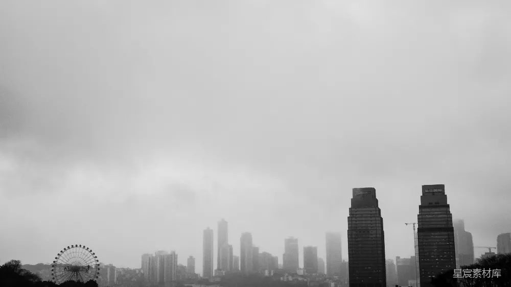 高清摄影  一幅黑白照片中的城市天际线