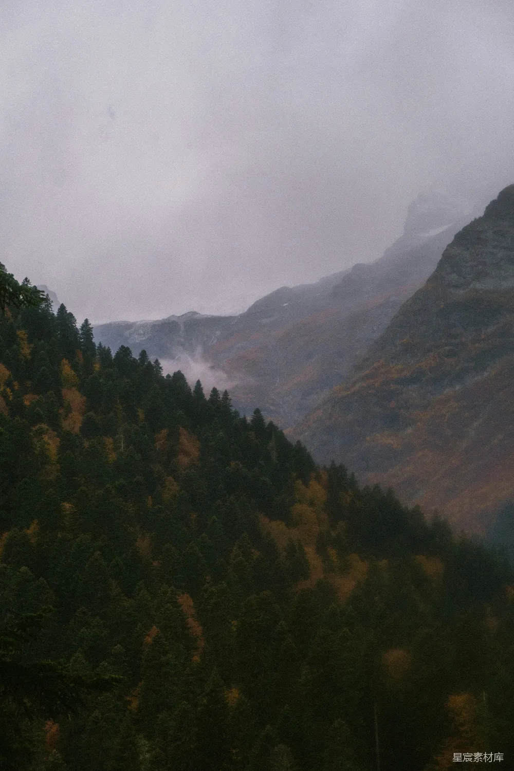 高清摄影 壁纸 自然 一座山脉的远景，前景中有树木。