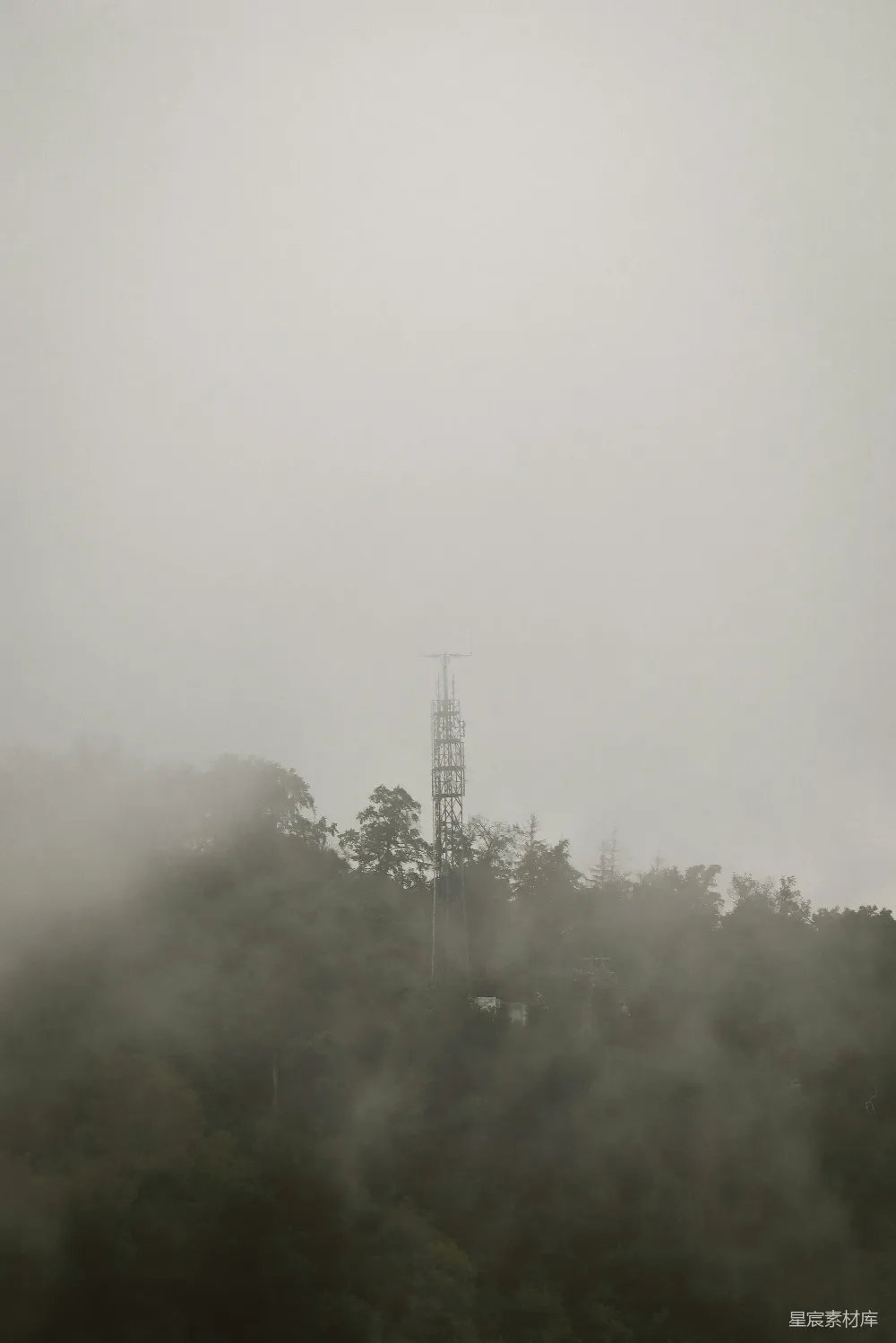 高清摄影  白天白云下的绿树