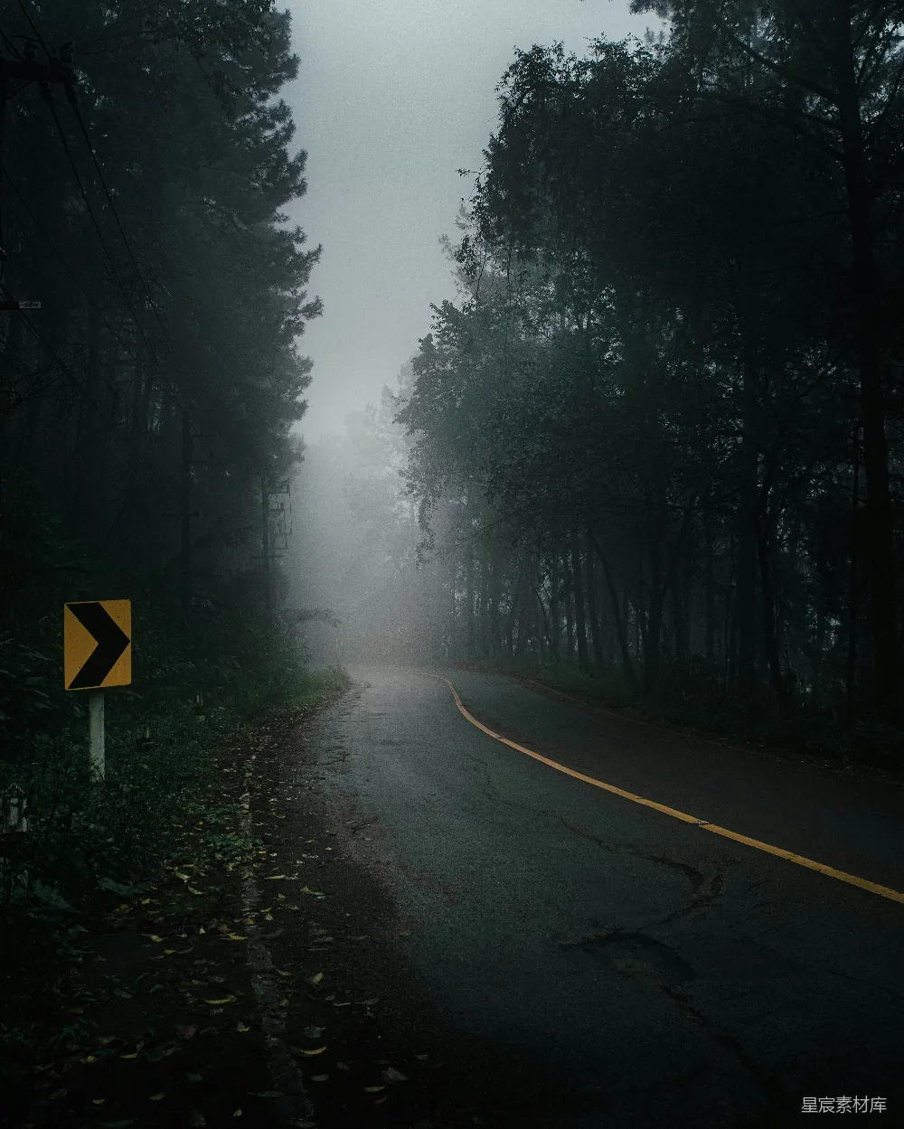 高清摄影 自然 旅行 黄色和黑色的路标，位于树木覆盖着雾气的道路上。