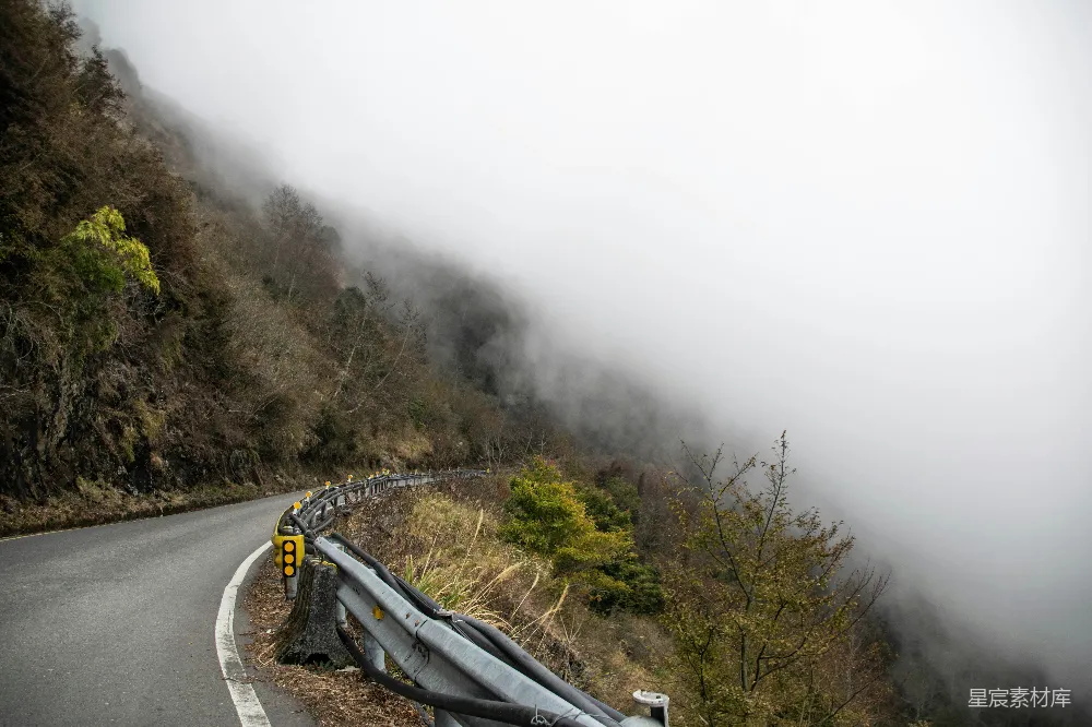 高清摄影  白天，雾气笼罩在绿树之间的灰色沥青道路上