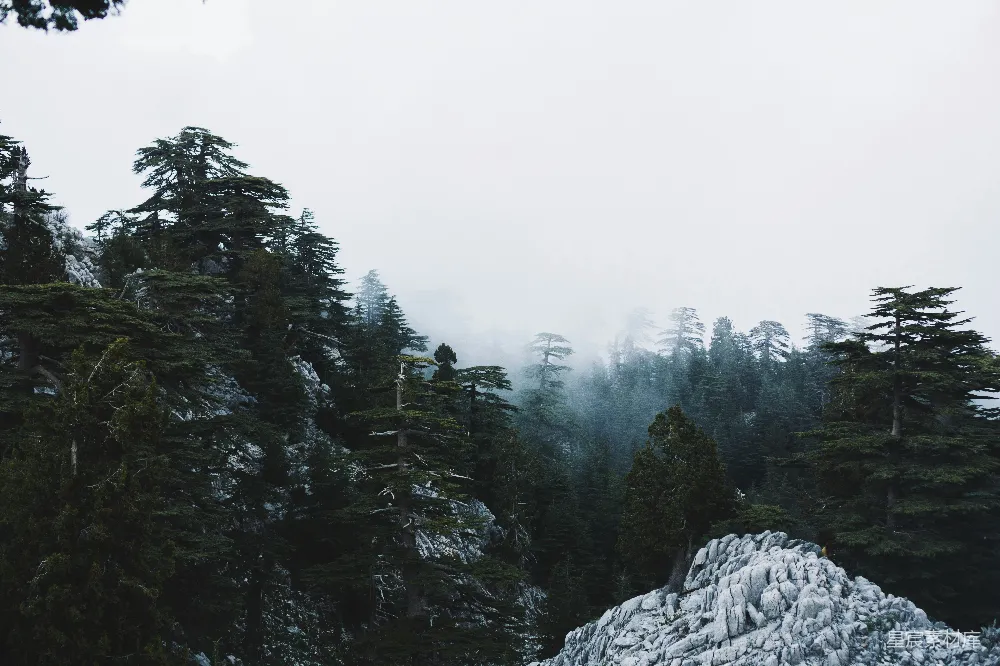 高清摄影  一座被雪覆盖的山，周围环绕着树木。