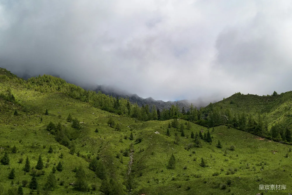 高清摄影 旅行 自然 壁纸 一片云层覆盖下的郁郁葱葱的山坡，山上长满了树木。