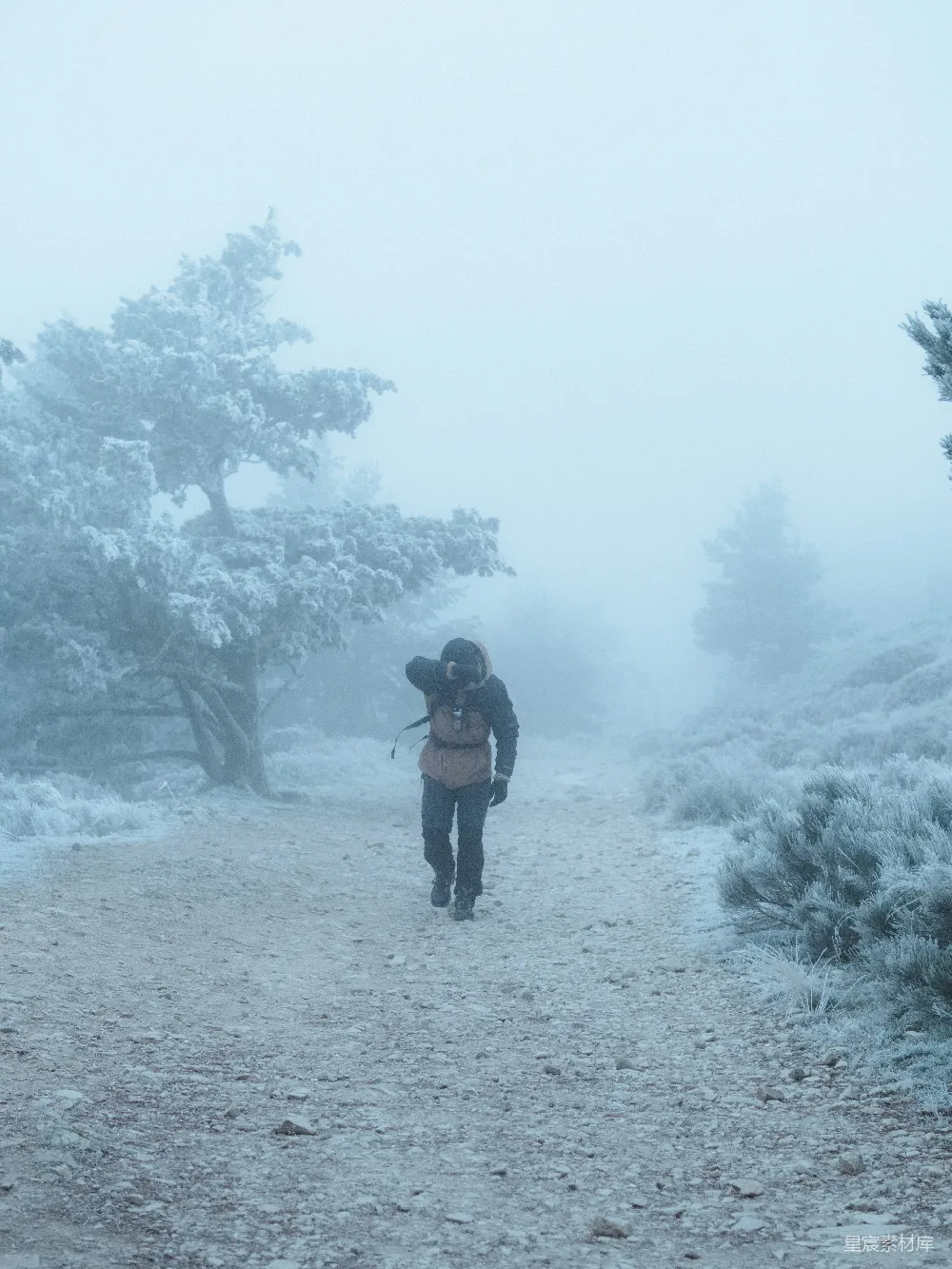高清摄影 人物 一个人在雪地的小路上行走