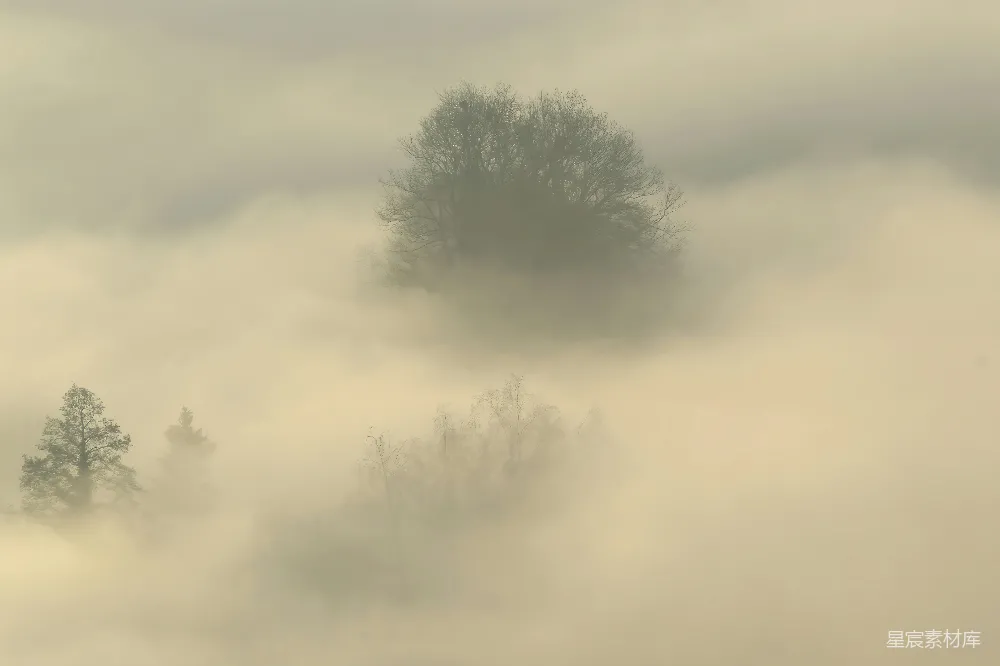 高清摄影  雾蒙蒙的风景，远处有树木。