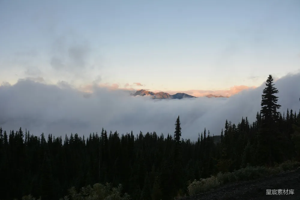 高清摄影  一座山脉的景色，前景中有树木。