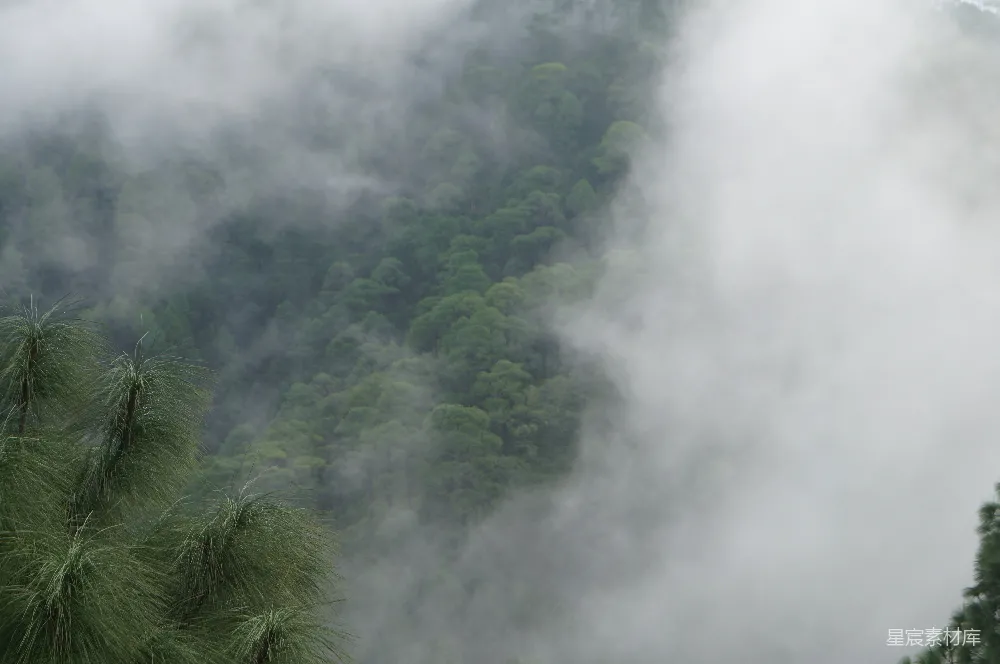 高清摄影  一座山峦被雾气和云雾笼罩，前景中有树木。