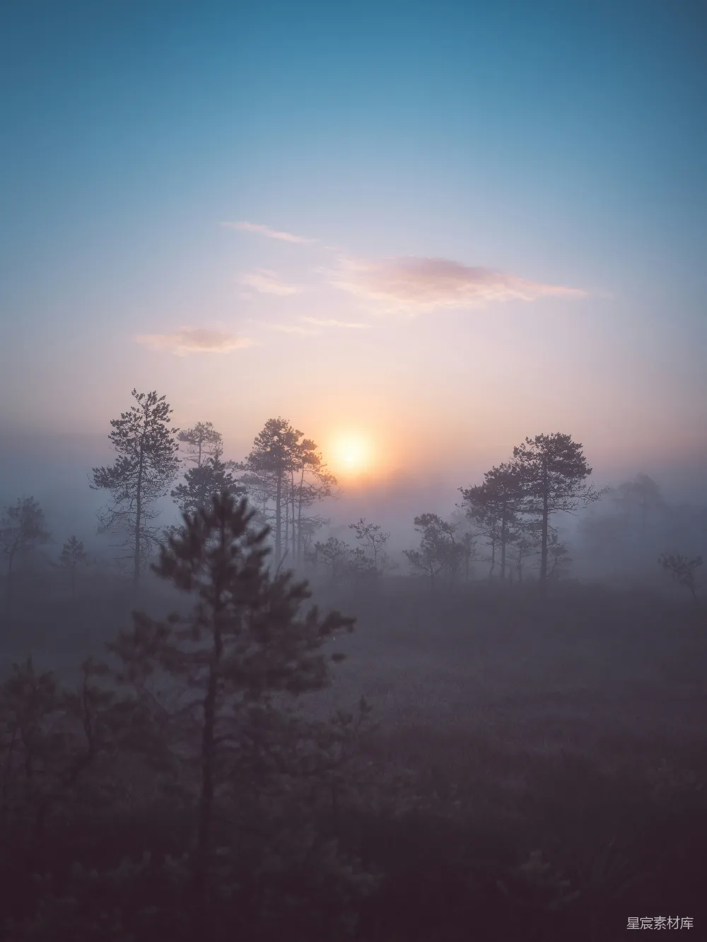 高清摄影  雾气缭绕的森林，夕阳西下