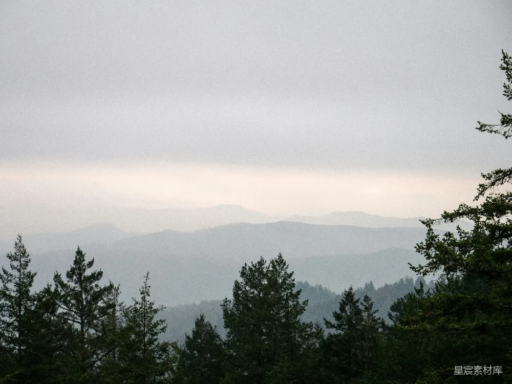 高清摄影  一座山脉的远景，前景中有树木。