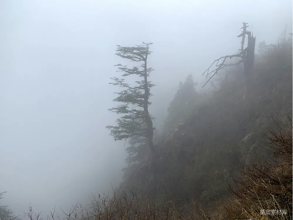 高清摄影  一座雾蒙蒙的山，山边有树木。
