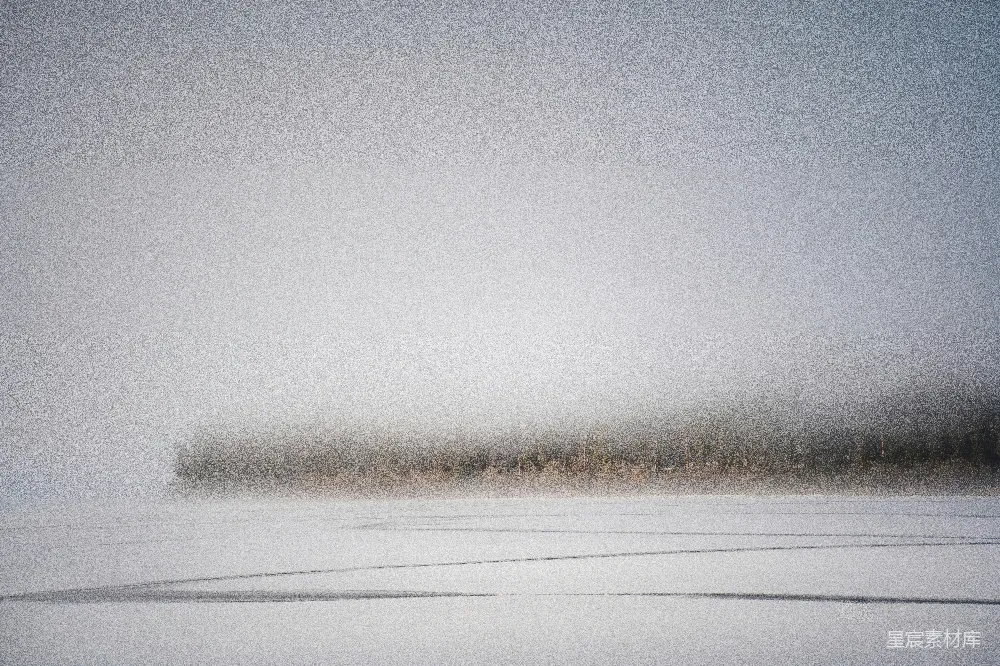 高清摄影  白天被白雪覆盖的田野