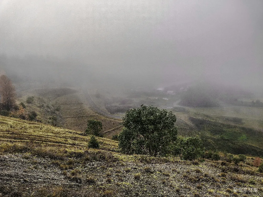 高清摄影  一个雾蒙蒙的风景，前景中有一棵孤独的树。