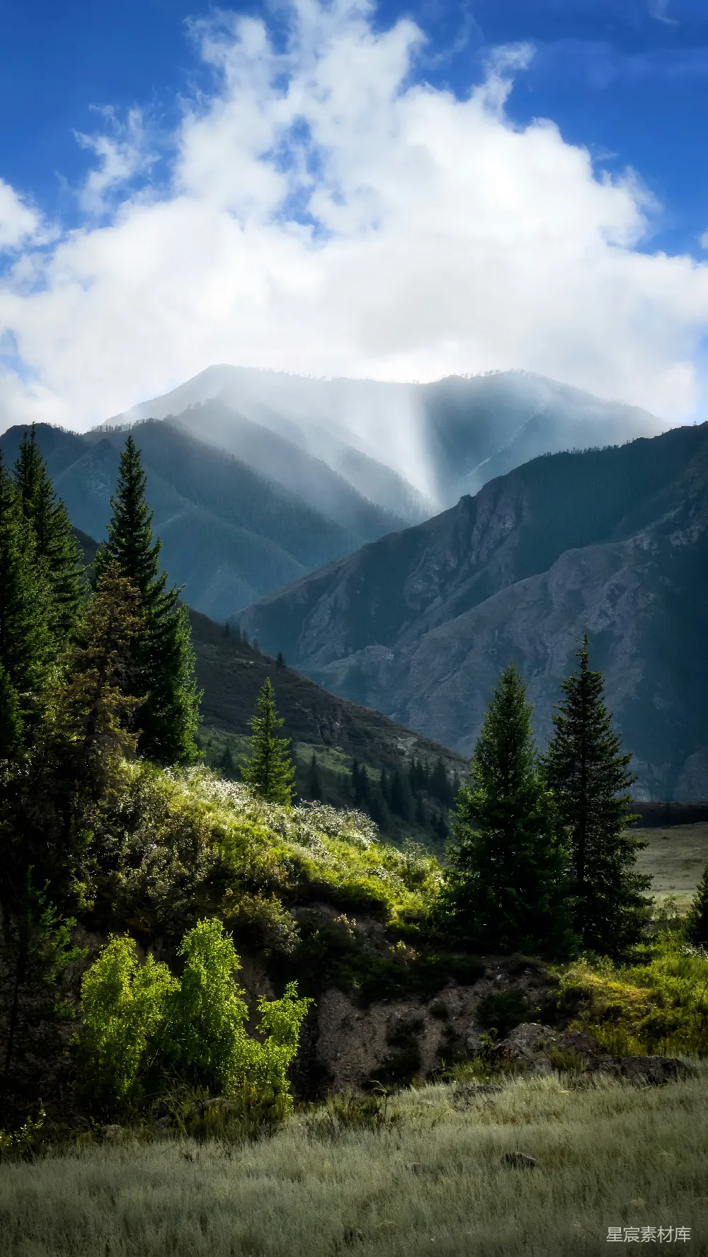 高清摄影 壁纸 山脉的风景，前景中有树木。