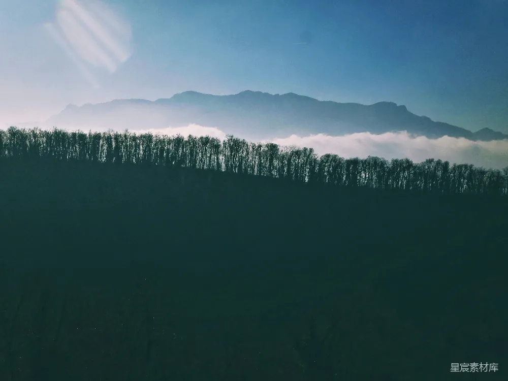 高清摄影  雾蒙蒙的山脉在树林后面。