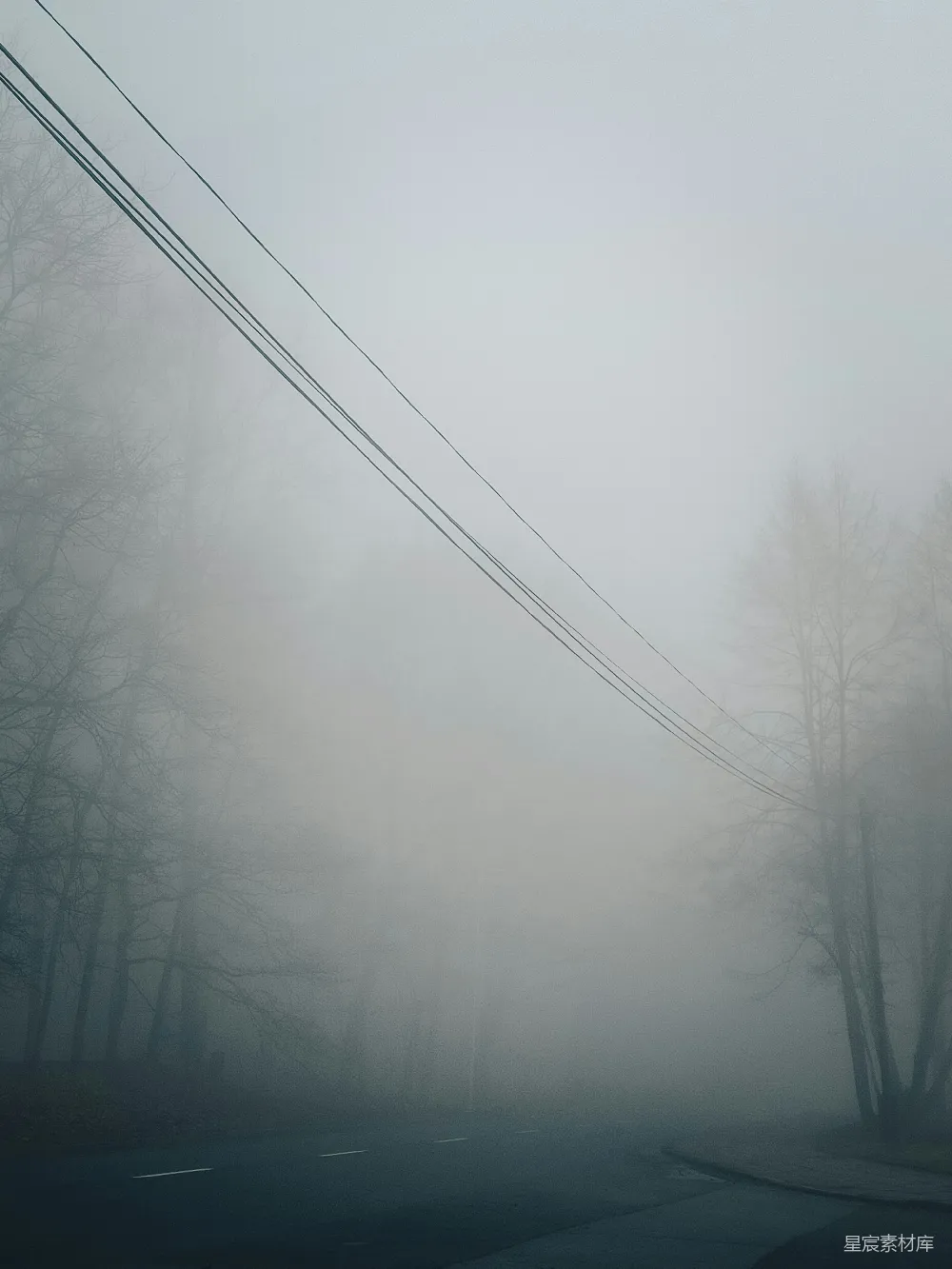 高清摄影  一条雾蒙蒙的道路，两旁有电线和树木。