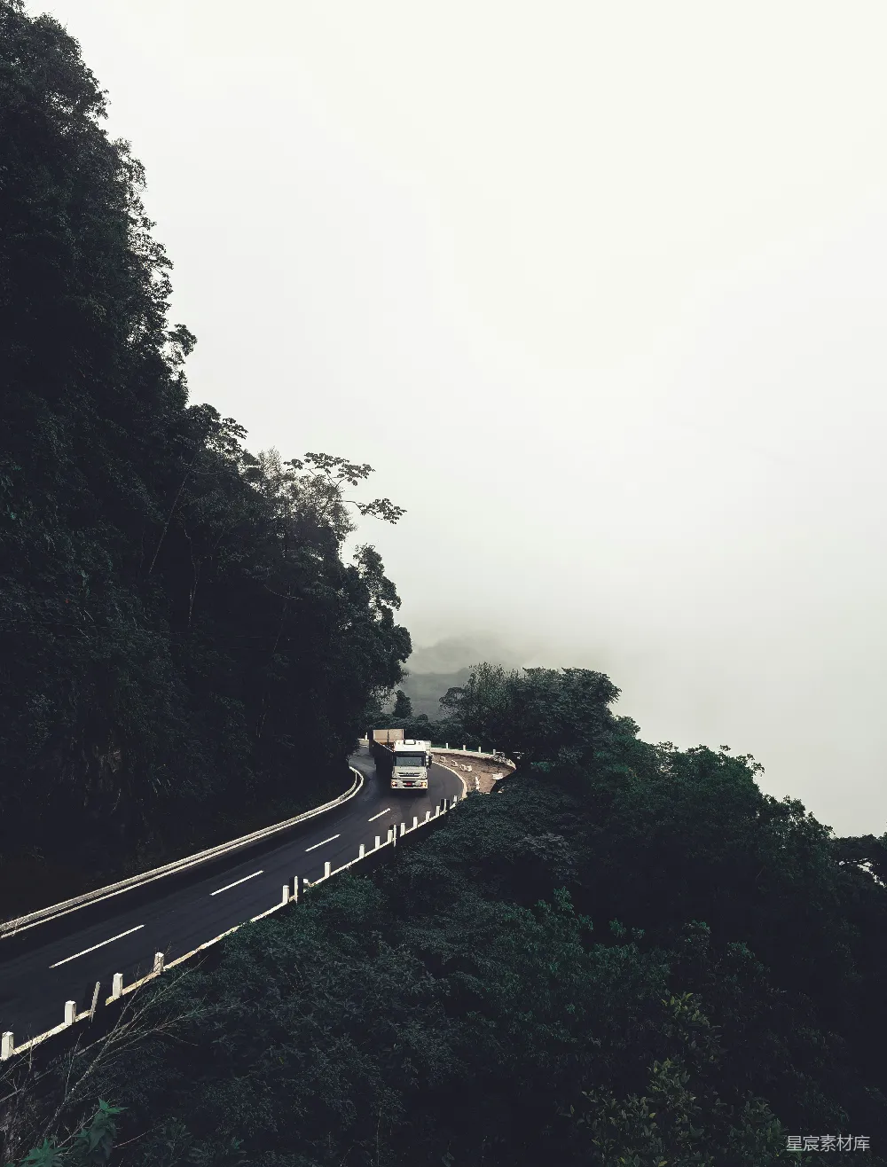 高清摄影 壁纸 一条长长的路穿过森林中间