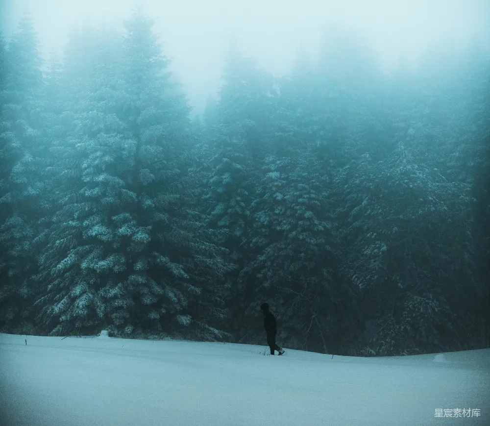 高清摄影 自然 一个人在白天的积雪覆盖的田野上行走。