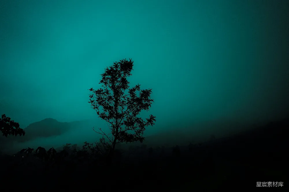 高清摄影 自然 壁纸 一棵孤树在绿色的天空背景下剪影。