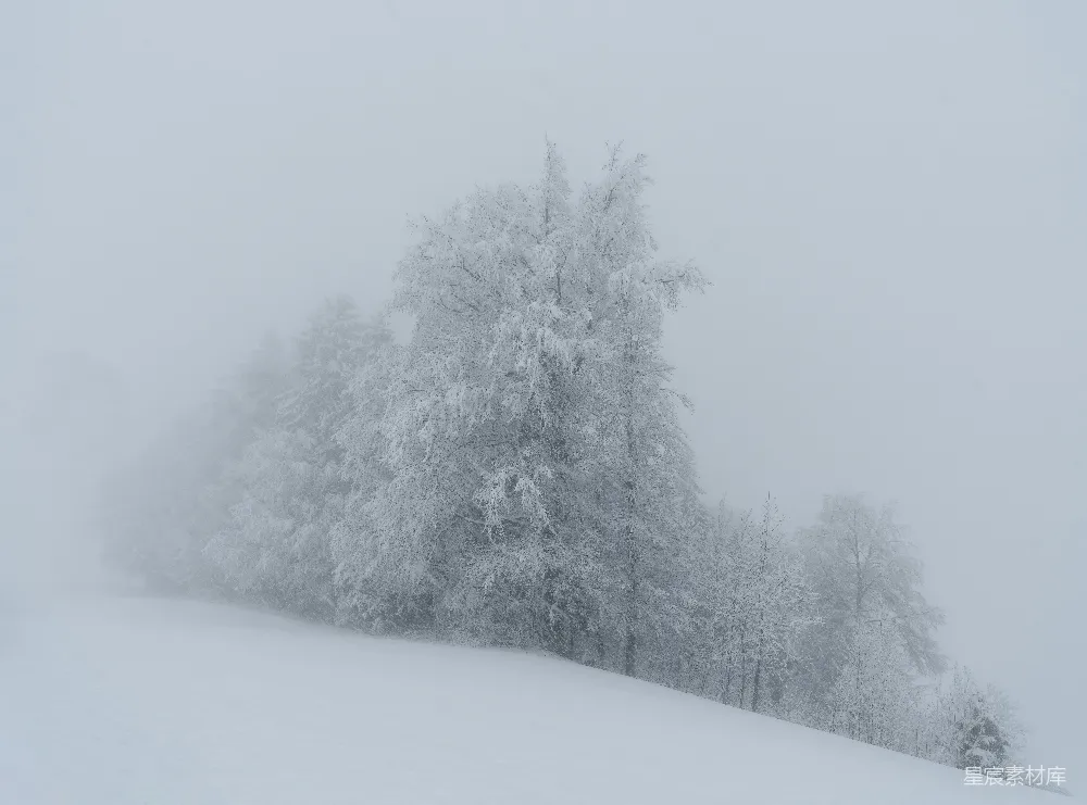 高清摄影  覆盖着积雪的山丘，背景中有树木。