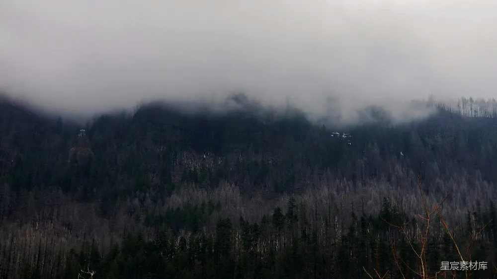 高清摄影  一座被雾气笼罩的山，前景中有树木。